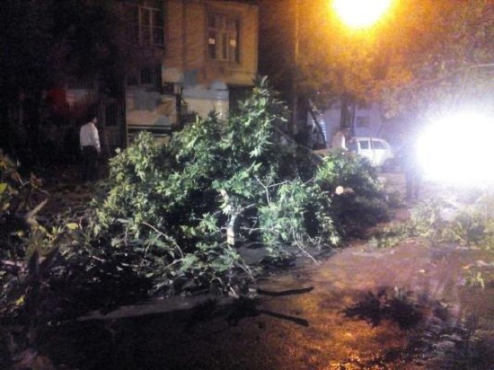 سقوط درخت و آب‌گرفتگی معابر در نهاوند + تصاویر