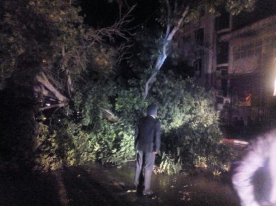 سقوط درخت و آب‌گرفتگی معابر در نهاوند + تصاویر