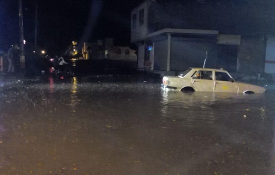 سقوط درخت و آب‌گرفتگی معابر در نهاوند + تصاویر