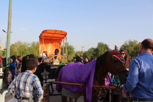 گزارش تصویری برگزاری جشن بادبادک‌ها در نهاوند