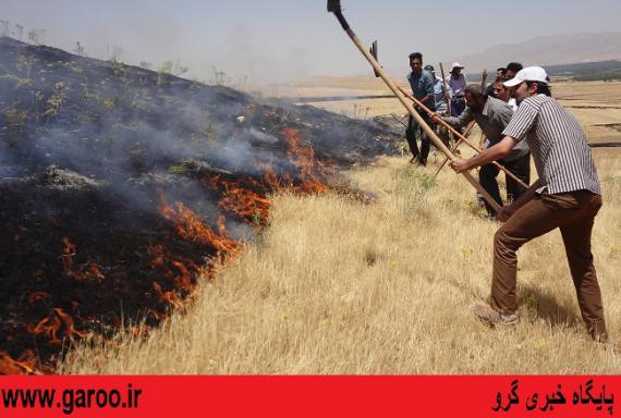 بیش از 20 هکتار از اراضی شهرستان نهاوند طعمه آتش شد+ تصاویر