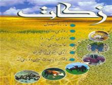 606 میلیون تومان زکات در شهرستان نهاوند جمع‌آوری شد