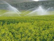 تجهیز 7 هزار هکتار از زمین های کشاورزی شهرستان نهاوند به سیستم آبیاری تحت فشار