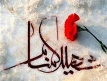 اخذ DNA از 30 خانواده شهید جاوید الاثر در نهاوند