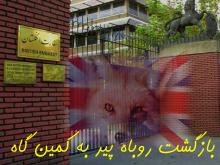 بازگشت روباه پیر به کمین‌گاه!/ عکس