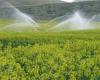 تجهیز 7 هزار هکتار از زمین های کشاورزی شهرستان نهاوند به سیستم آبیاری تحت فشار
